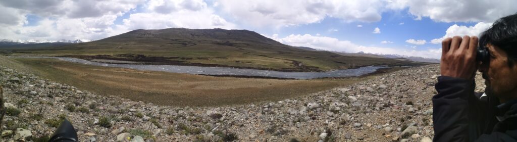 img 20220605 133236 (1) img 20220605 133236 (1)