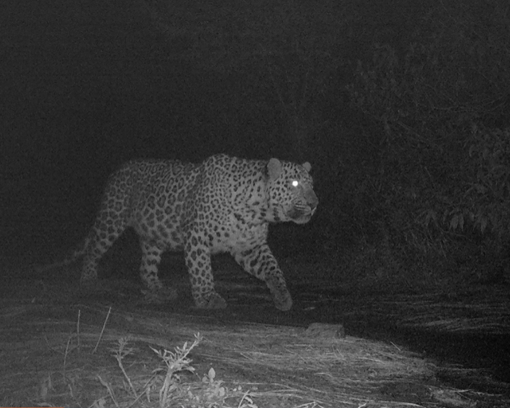 screenshot 2025 10 21 at 7.40.19 pm