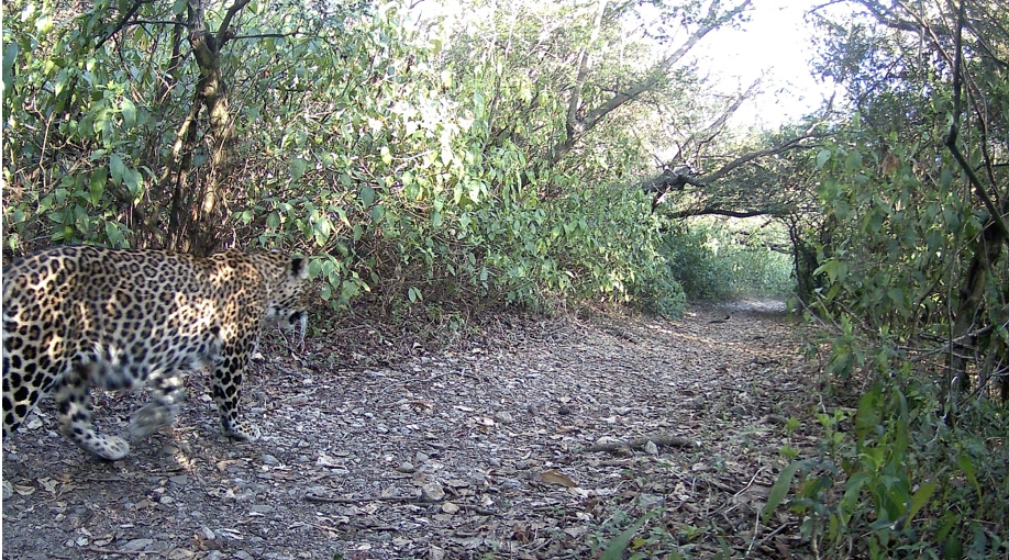 screenshot 2025 10 21 at 7.40.24 pm