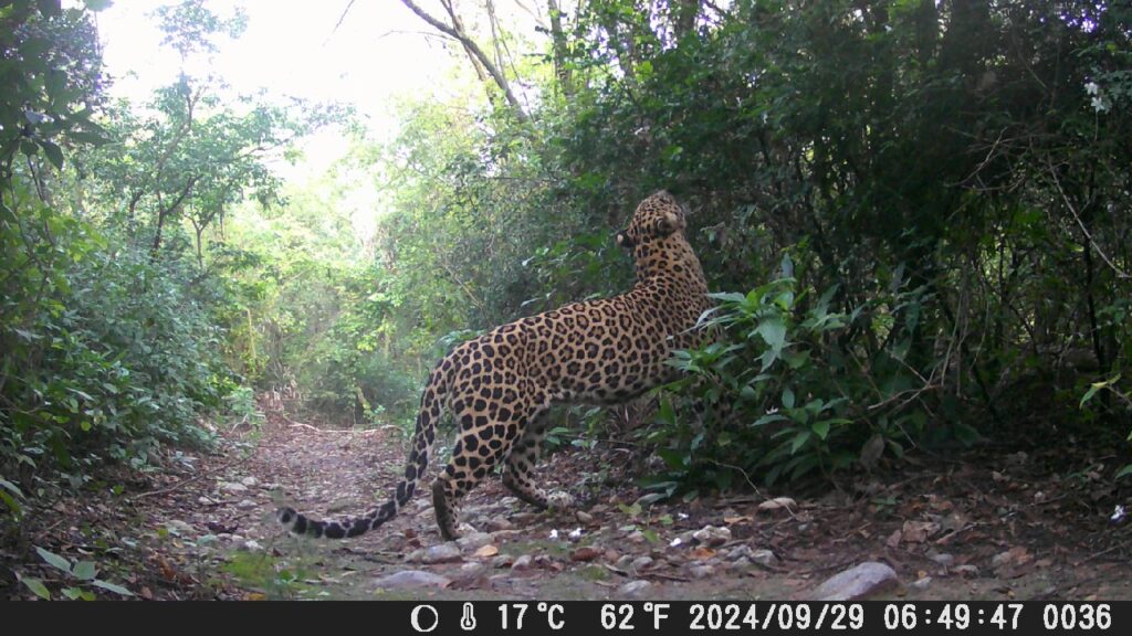 whatsapp image 2025 10 21 at 10.13.35 (1)